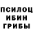 Галлюциногенные грибы Cubensis Solklar